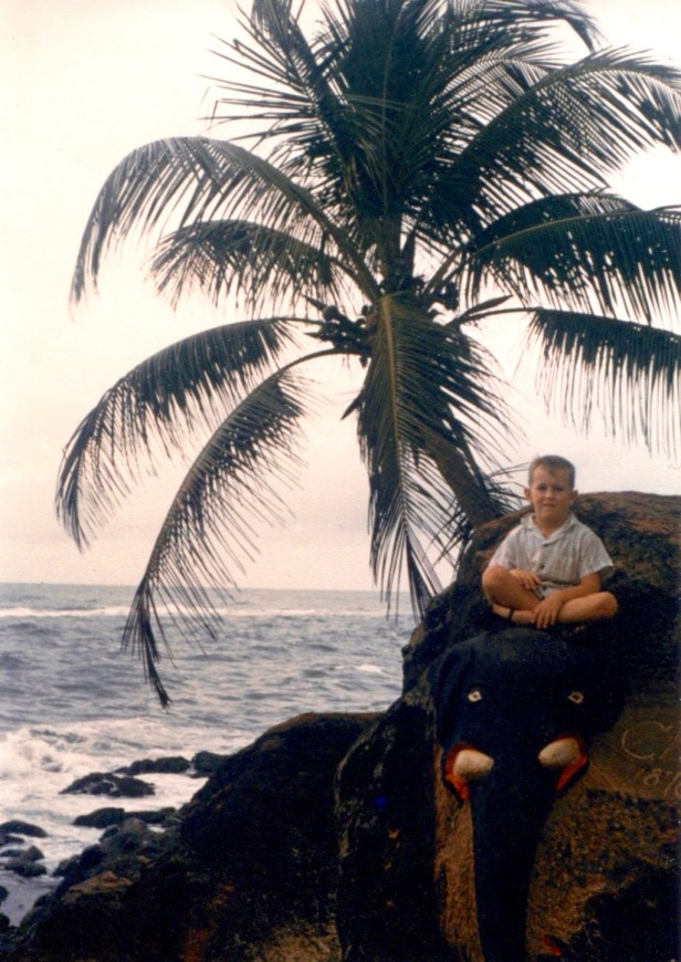 ceylonbeachelephant286-1